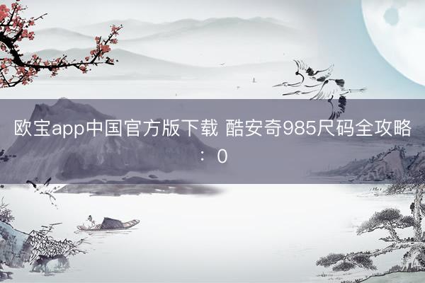 欧宝app中国官方版下载 酷安奇985尺码全攻略：0