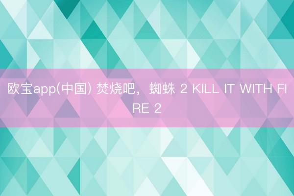 欧宝app(中国) 焚烧吧，蜘蛛 2 KILL IT WITH FIRE 2