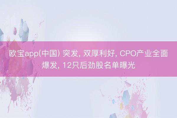 欧宝app(中国) 突发， 双厚利好， CPO产业全面爆发， 12只后劲股名单曝光