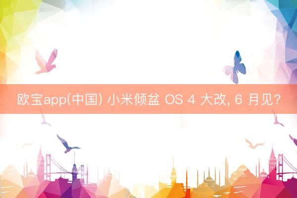 欧宝app(中国) 小米倾盆 OS 4 大改， 6 月见?
