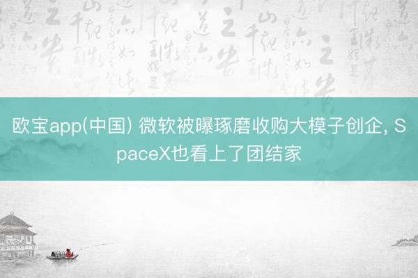 欧宝app(中国) 微软被曝琢磨收购大模子创企， SpaceX也看上了团结家