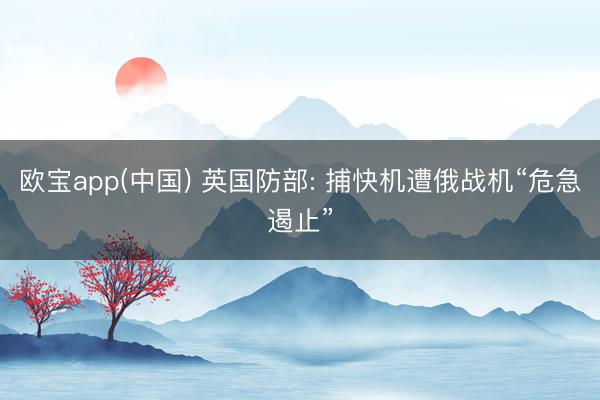 欧宝app(中国) 英国防部: 捕快机遭俄战机“危急遏止”