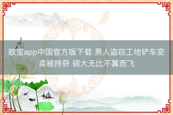 欧宝app中国官方版下载 男人盗窃工地铲车变卖被持获 硕大无比不翼而飞