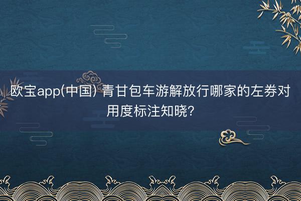 欧宝app(中国) 青甘包车游解放行哪家的左券对用度标注知晓？