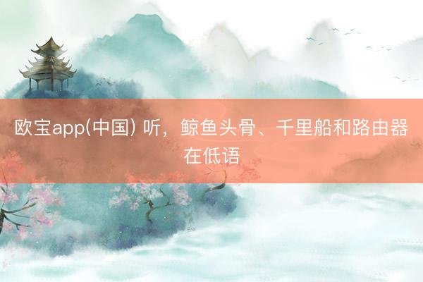 欧宝app(中国) 听，鲸鱼头骨、千里船和路由器在低语