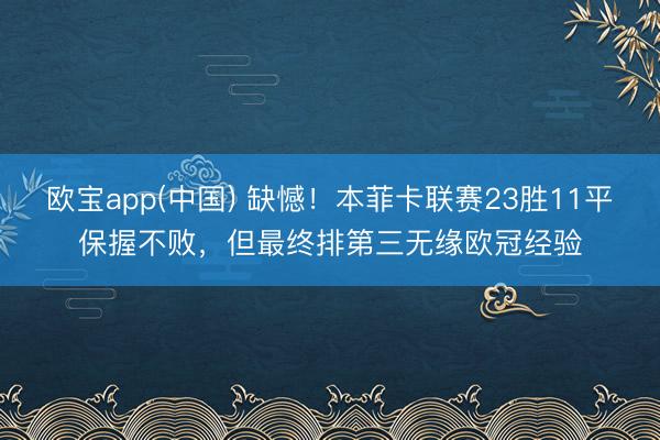 欧宝app(中国) 缺憾!本菲卡联赛23胜11平保握不败,但最终排第三无缘欧冠经验