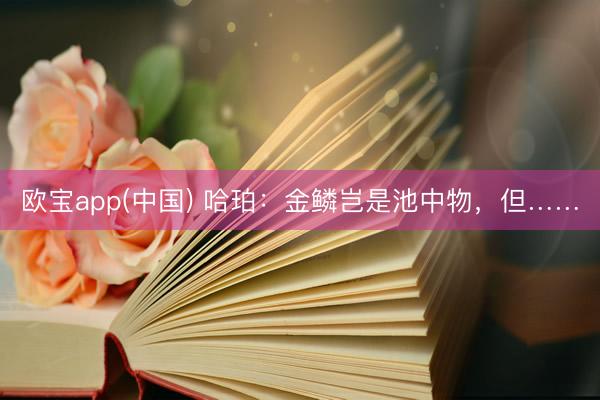 欧宝app(中国) 哈珀：金鳞岂是池中物，但……